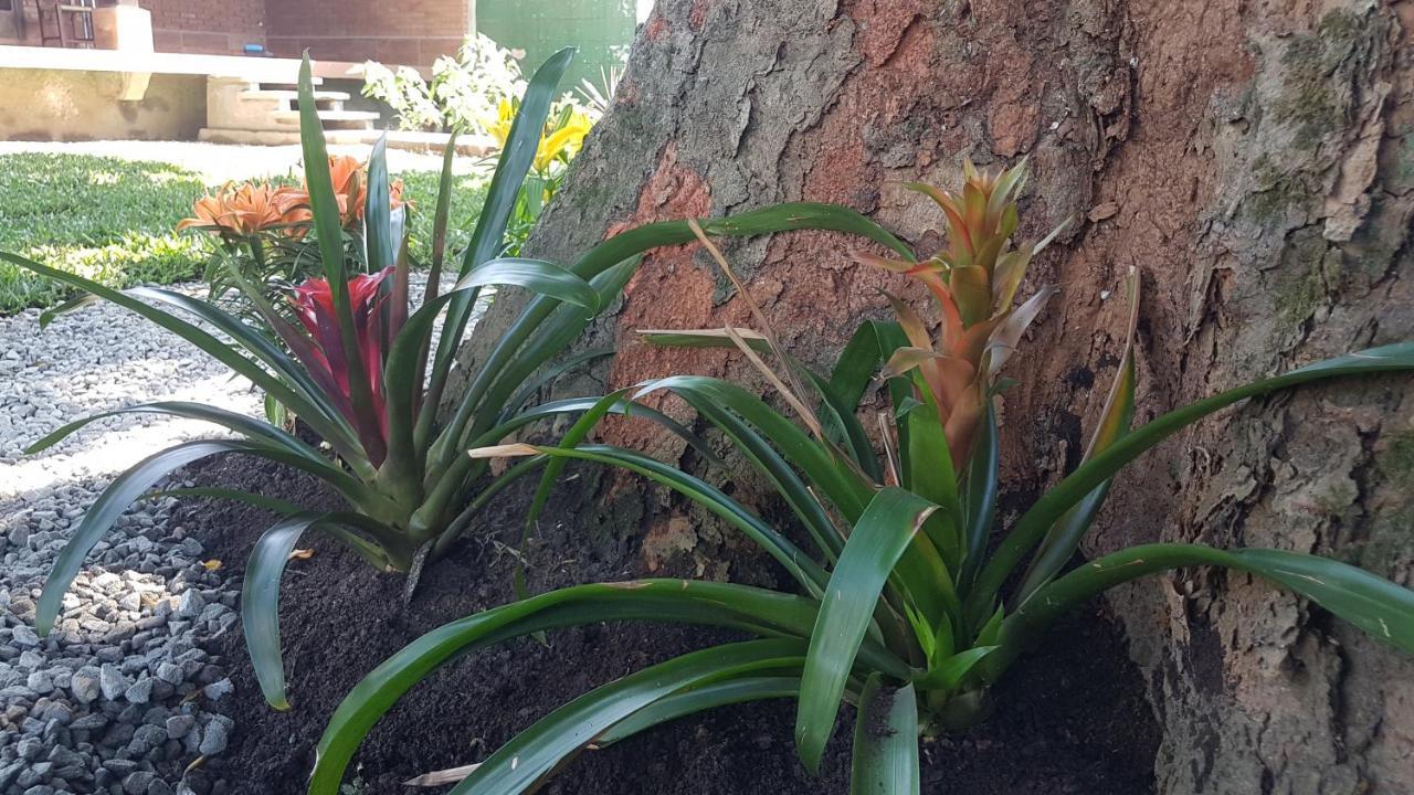 Hospedagem Economica Flor De Maria Caraguatatuba Εξωτερικό φωτογραφία